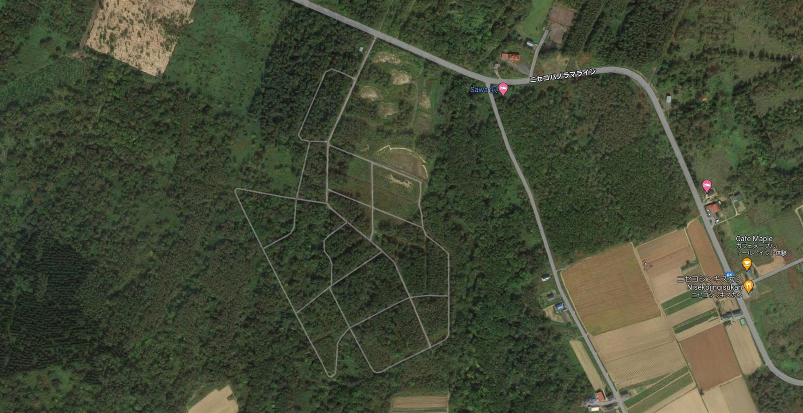 Actual satellite view of the Annupuri Niseko property area